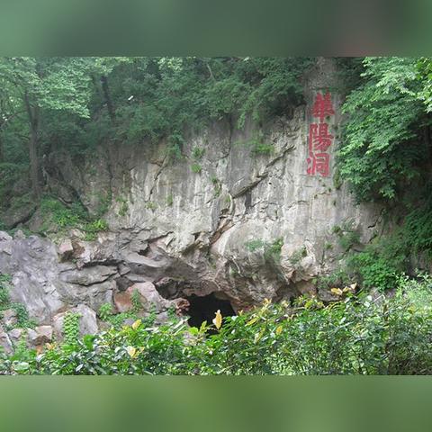 (遇见你的猫烹饪攻略)探索新鲜风味:遇见你的猫作弊菜单最新版本 (遇见你的猫烹饪攻略)探索新鲜风味:遇见你的猫作弊菜单最新版本