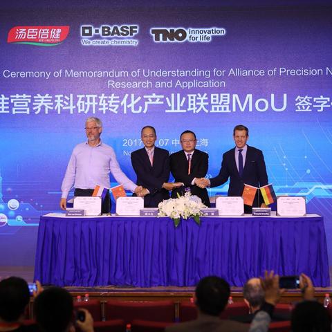 (艾兰岛怎么制作)艾兰岛制作表大全：详尽资料帮助您轻松制定计划