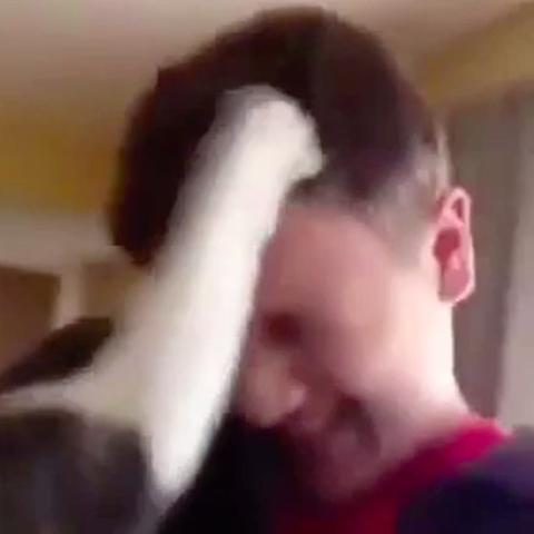 (超级幻影猫官方)揭秘超级幻影猫光痕内购：神秘猫咪究竟隐藏了什么秘密？