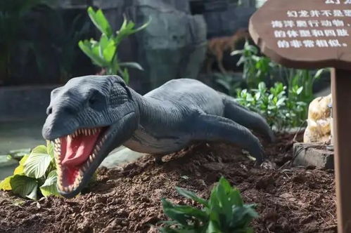 探秘史前巨兽世界：恐龙宝贝神奇之旅攻略——如何正确引导孩子接触和了解恐龙文化