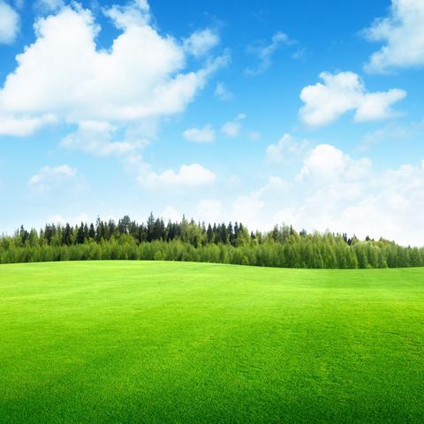 (如何进行手机连接电脑上网设置及其步骤详解图)如何进行手机连接电脑上网设置及其步骤详解？