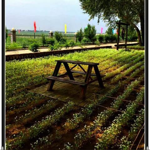 (墨心儿百度百科)探寻墨心儿：诗意人生中的深情思考与自我成长之旅