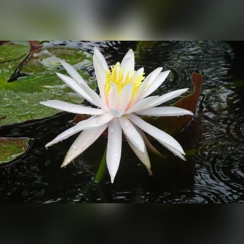 (辐射3攻略视频解说视频)辐射3攻略视频解说：全面指导，带你快速通关游戏