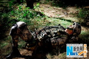 我是小奇兵,如何在险象环生的环境中脱颖而出——小奇兵养成攻略详解 我是小奇兵,如何在险象环生的环境中脱颖而出——小奇兵养成攻略详解