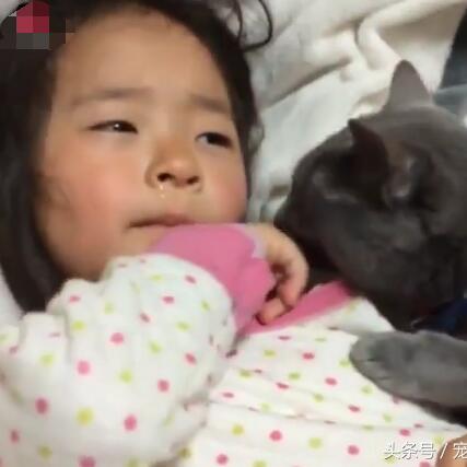 (猫咪被亲亲)猫咪被亲的时候在想什么?是否感受到主人的爱意和温暖? (猫咪被亲亲)猫咪被亲的时候在想什么?是否感受到主人的爱意和温暖?