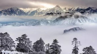 山人为仙最佳,世人羡慕仙境安逸,然实质下半句,每一步走来都经历万般磨炼。 山人为仙最佳,世人羡慕仙境安逸,然实质下半句,每一步走来都经历万般磨炼。