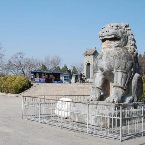 穿越动物江湖手游：探索异域生态，挑战残酷战斗，化身猛兽征服江湖