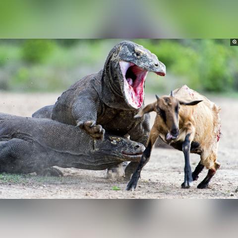 (探索巨龙之路)探索巨龙法则手游的奇幻世界:一场结合策略与冒险的精彩旅程 (探索巨龙之路)探索巨龙法则手游的奇幻世界:一场结合策略与冒险的精彩旅程