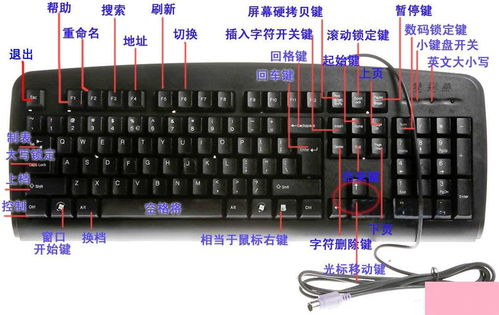 (电脑笔记本键盘功能基础知识)深入了解笔记本电脑键盘的功能及作用，让您更高效地使用电脑