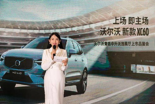 (星光创造营成员)星光创造营最新版人物对应，了解崭露头角的新生代偶像选手们