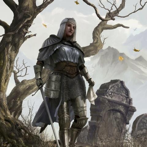 无名忍者跳门派：传承千年的神秘技艺，藏匿于暗影之中，势连天地。