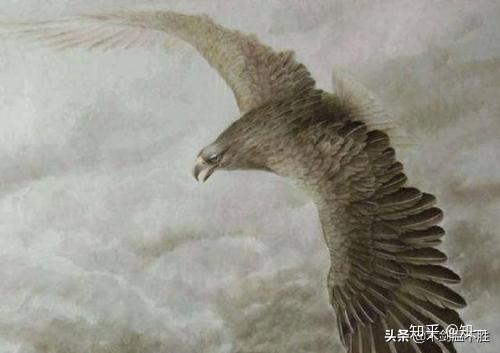 (齐谐者志怪者也的翻译)齐谐者志怪者也翻译句子:寻奇探秘,志在和谐。