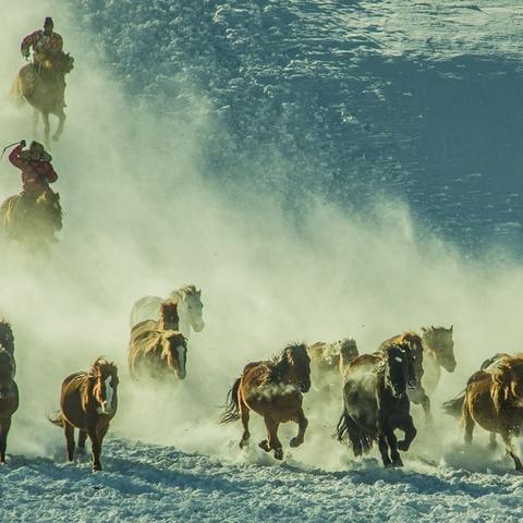 详细图文解析:三界天骄渡劫攻略,实力提升与危机应对 - 如何在修仙世界安然度过天劫