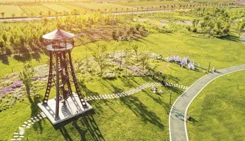 凤江湖论坛：探讨湖泊生态保护、文化传承与乡村发展的重要平台