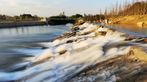 凤江湖论坛:探讨湖泊生态保护、文化传承与乡村发展的重要平台 凤江湖论坛:探讨湖泊生态保护、文化传承与乡村发展的重要平台