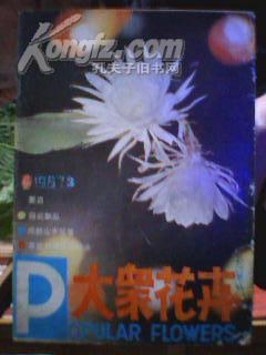 (代号风鸢)揭秘代号鸢uid账号的神秘身份和隐藏背景 (代号风鸢)揭秘代号鸢uid账号的神秘身份和隐藏背景