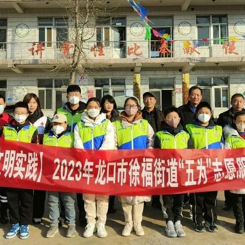 展现宠物魅力，促进人与宠物情感互动——疯狂宠物秀:欢乐树神奇效果的全解析