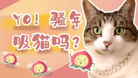 喵喵零食铺:专为爱猫人士打造的优质宠物零食,健康美味陪伴您的猫咪成长! 喵喵零食铺:专为爱猫人士打造的优质宠物零食,健康美味陪伴您的猫咪成长!