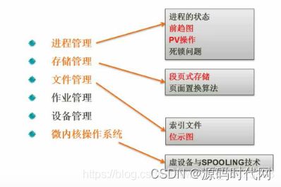 深入探讨中心极限法则:理解其在统计学与实际应用中的重要性与影响