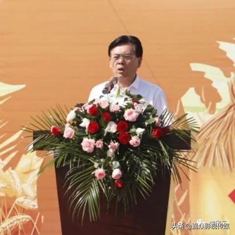 (猫咪田园ios)猫咪田园下架后的门店体验:重返自然,与猫咪共赏新生活
