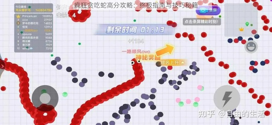 新手攻略:贪吃蛇血脉奇旅第二关丛林迷径全通关秘籍与实用技巧分享