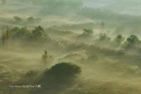 (清澈而美丽)清澈而清新,朦胧而自然,如同晨曦初现的清风徐来 (清澈而美丽)清澈而清新,朦胧而自然,如同晨曦初现的清风徐来