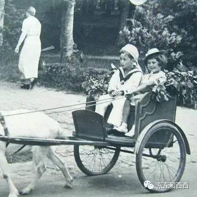 我要当国王原版:探索权力的魅力和责任,成就自己的帝王梦想 我要当国王原版:探索权力的魅力和责任,成就自己的帝王梦想
