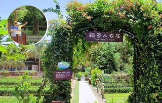 天天农庄官方版:带你探索农庄生活,体验农庄乐趣,享受大自然的温馨与美好。