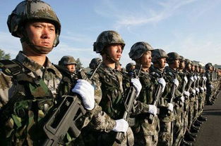 探讨战争怒吼为何凉了:以实力武器的边缘化和和平理念的普及为主线的深度剖析 探讨战争怒吼为何凉了:以实力武器的边缘化和和平理念的普及为主线的深度剖析