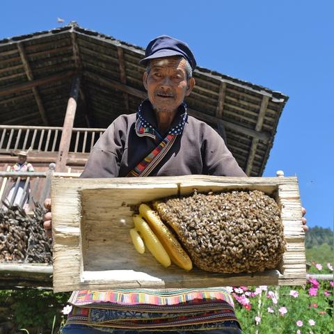 (蚂蚁部落大作战下载)深入探讨蚂蚁部落大作战免广告的优势与玩家体验提升 (蚂蚁部落大作战下载)深入探讨蚂蚁部落大作战免广告的优势与玩家体验提升