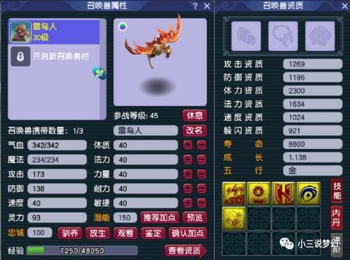 新手攻略:玩转大唐仙灵小程序,步步高升成为修仙高手的全面指南