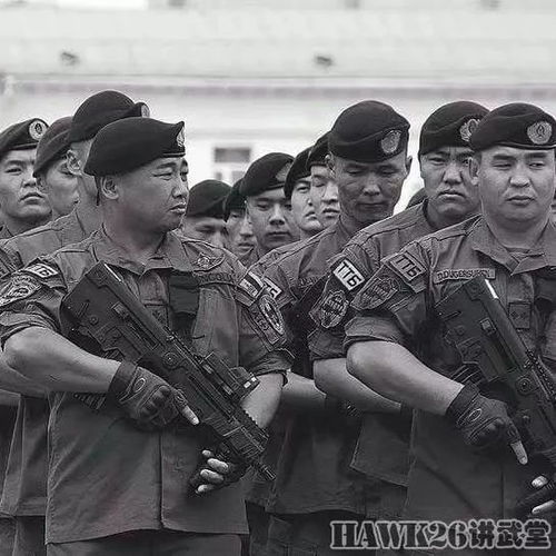(203 代号)203代号首长:揭秘特种部队最神秘的领导者身份 (203 代号)203代号首长:揭秘特种部队最神秘的领导者身份