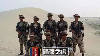 (203 代号)203代号首长:揭秘特种部队最神秘的领导者身份 (203 代号)203代号首长:揭秘特种部队最神秘的领导者身份