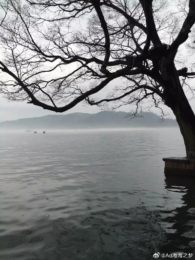 杭州西湖烟雨蒙蒙，倾听大自然的绝美景色，沉醉在雨雾中渐渐迷失方向