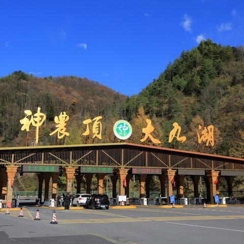 (迷你世界跑酷野人来了)迷你跑酷世界：在荒野迷宫中挑战极限生存与冒险的刺激体验