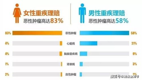 (藏锋行的原著小说是什么)藏锋行小说百度百科：揭秘藏锋行小说的创作历程和背后的故事