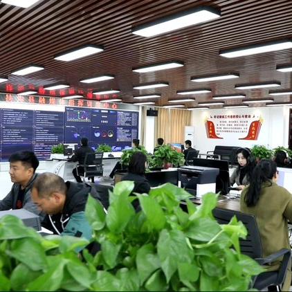 深入探讨：新闻播音员的专业培训和其在新闻传播行业中的重要作用
