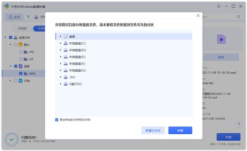 全面解读万能数据恢复大师免费版：如何轻松找回丢失数据的最佳选择
