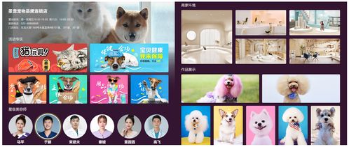 探索全国最大的宠物基地：梦想中的宠物乐园与爱宠生活的完美结合