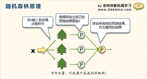 (理想木业有限公司)理想森林品牌倒闭原因分析与深层次经济运作关联密切