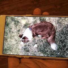 星轨之上小程序后期最强阵容全面解析：如何搭配出最具威力的角色组合