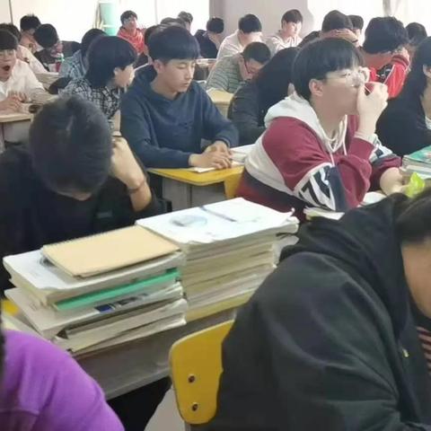 (魔法药剂学)药剂大师揭秘：解读魔法药剂与药水内容的艺术