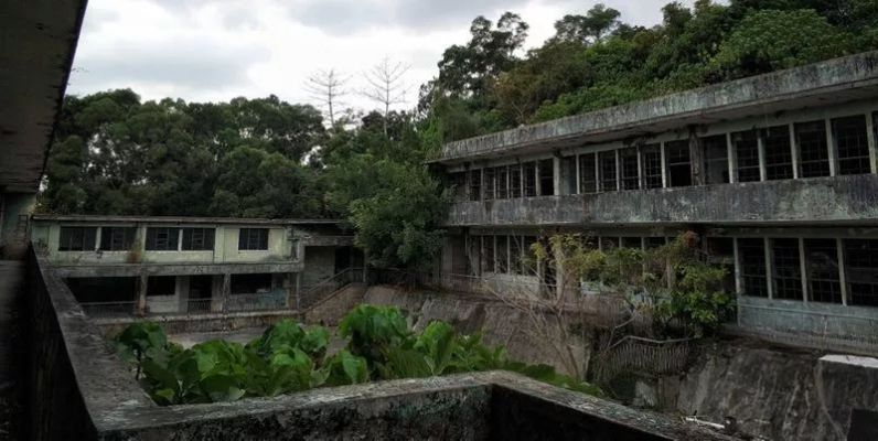 (被遗弃的中学讲的是什么故事)被遗弃的中学：荒废校园背后的故事，告诉我们什么？