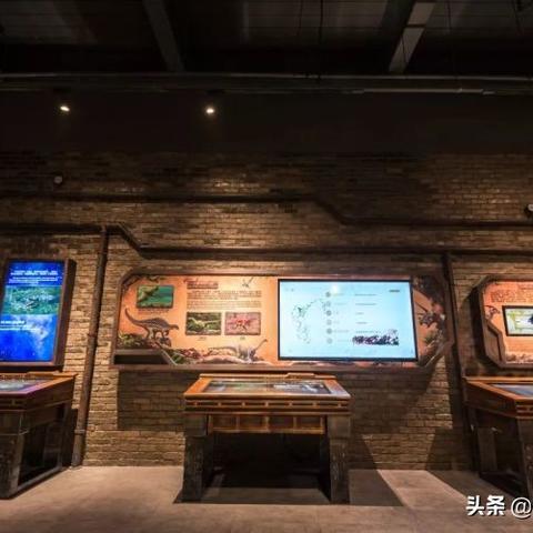 (幼儿了解恐龙)5-6岁儿童如何更好地了解恐龙的知识？