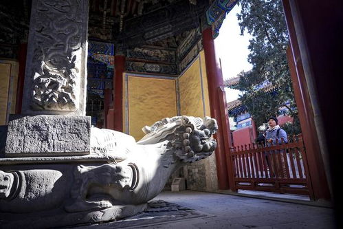 (镇龙棺 百度百科)镇龙殿120集完全版：深度解析神话背后的震撼人性与权力较量