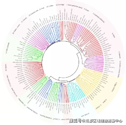食物归类者官方区有几个入口？探究这里的入口数量与种类，揭秘其功能和作用。
