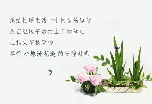 怡然自得的闲暇时光：以宁静的阅读和自我对话，感受悠闲时刻中醇厚的人生味道