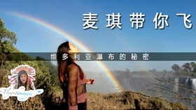 真实与理想交织，探秘爱丽丝的梦想人生——免广告时代的画布展开