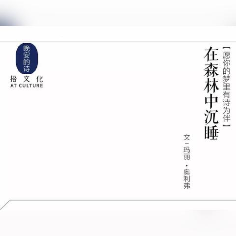 晚安森林最新版本更新：新增特色剧情和角色，引领玩家深度探索森林生态奥秘