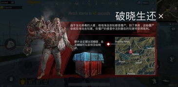 熊熊精英刺激战场：冒险家们与未知的危机挑战中的勇气和智慧的绽放
